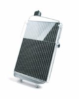 Rotax DD2 Radiator