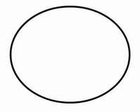 Rotax O-Ring buitenkop