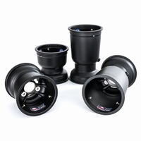 DWT LV Magensium velgen set